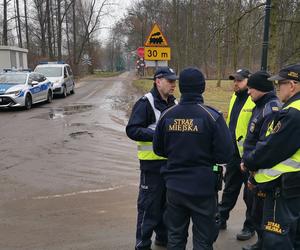 Ucieczka pantery śnieżnej z zoo w Chorzowie. Zdjęcia z akcji poszukiwawczej