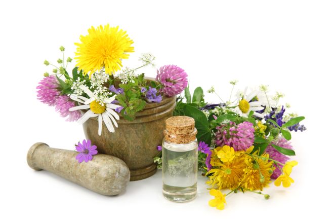 Zioła na zapalenie oskrzeli: przepisy na mieszanki ziołowe