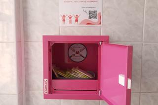 Różowe skrzynki w SP3 w Iławie