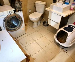 3 lata więzienia grożą mężczyźnie, który usłyszał zarzut znęcania się nad zwierzętami