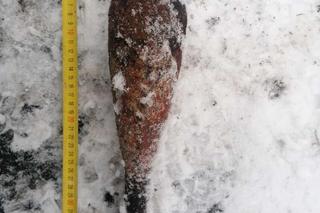 Niewybuchy w skupie złomu w Tarnowie. Śledczy wyjaśniają, skąd się tam wzięły