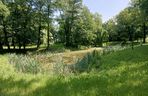 Parki podworskie w powiecie gdańskim
