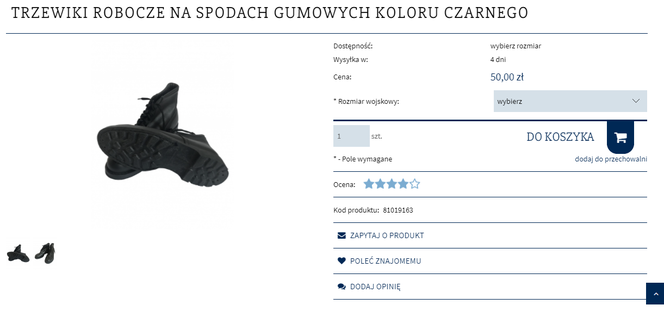 Agencja Mienia Wojskowego wyprzedaje sprzęt. To można kupić od wojska!