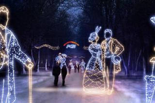 Zima w Warszawie: Iluminacje świąteczne i nie tylko… [WIDEO]