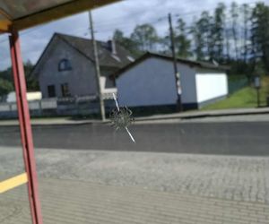 Strzały na przystanku w Dąbrowie Górniczej Antoniowie