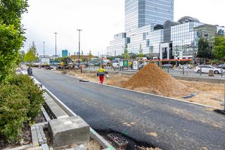Sadzenie zieleni na placu Bankowym w maju 2025 r.