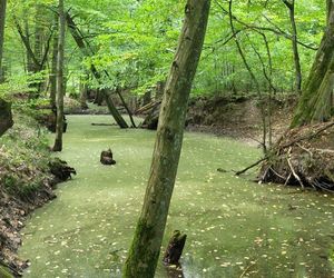 Nazwa tej rzeki na Podkarpaciu może przywoływać dziwne skojarzenia. Występuje w niej ponad 300 gatunków