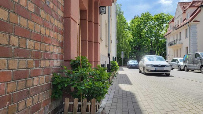 Mieszkanka Mokotowa musi zapłacić karę za posadzenie kwiatów. Kwota powala na kolana! Urząd mówi jasno