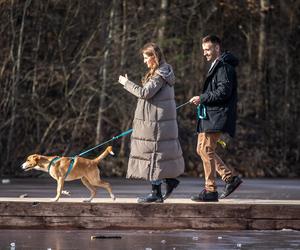 Walentynkowe morsowanie w Częstochowie w Parku Lisiniec