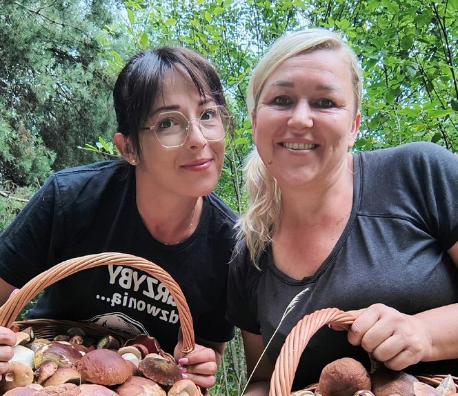 Wysyp grzybów w woj. świętokrzyskim. „Rosną jak na drożdżach”. Mamy zdjęcia!