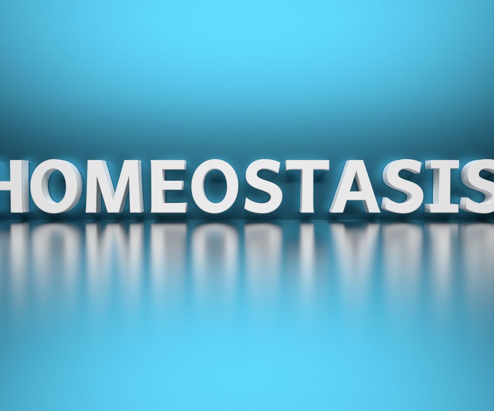 Homeostaza - co to jest? Zaburzenia homeostazy