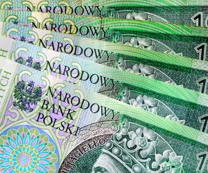 Nieuczciwi kontrahenci drenują budżet państwa