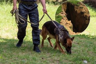 Ciało z ranami postrzałowymi pod Zgorzelcem?! Ryszard M. Azja w rękach organów ścigania