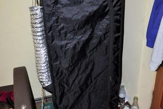 Uprawiał marihuanę w szafie