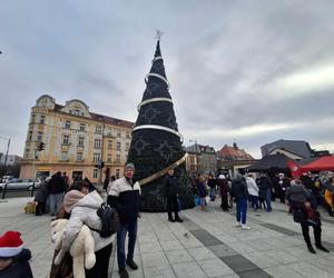 Piekarki Kiermasz Zabawek ZDJĘCIA