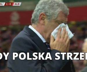 Polska - Albania MEMY po meczu