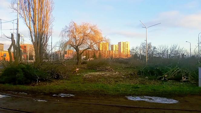 Torowa rewolucja: wycinka drzew na pętli Pomorzany i likwidacja działek