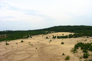 Nie tylko Pustynia Błędowska. Pustynie w Polsce, które warto zobaczyć