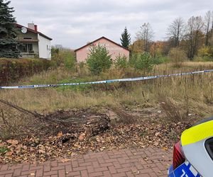 Zabójstwo w Kampinosie