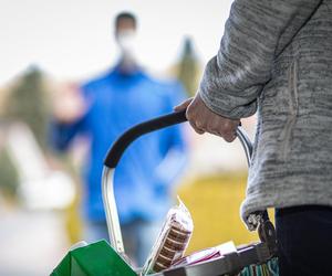 Pieczywo, warzywa, owoce i wędliny. To najczęściej ląduje w koszach kielczan