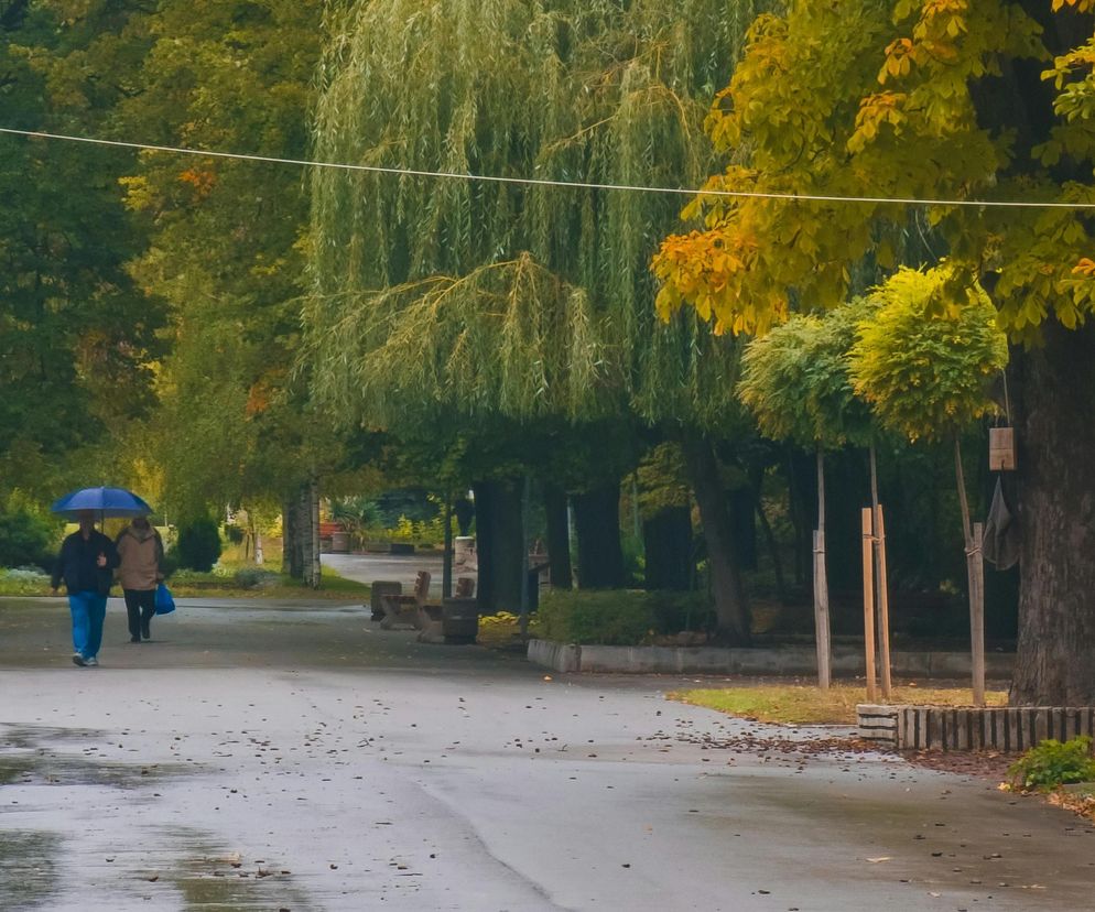 Zgniła jesień w Polsce. Ciągłe opady deszczu i ochłodzenie