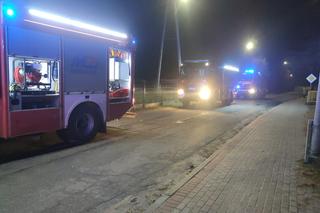 Fatalny wypadek koło Kamiennej Góry. Kierowca osobówki uderzył w trzy drzewa, oszukał przeznaczenie