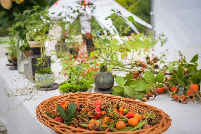 Wielki piknik kwietny finał 41. edycji konkursu „Warszawa w kwiatach”  