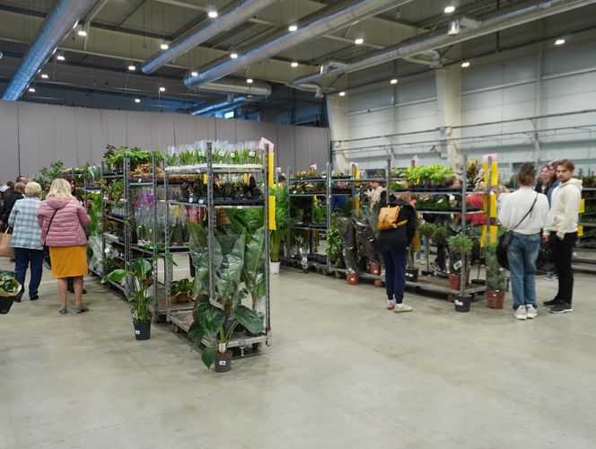 Największy targ roślin doniczkowych ponownie w Lublinie