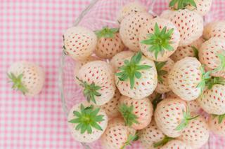 Białe truskawki? Pineberries dostępne w Polsce