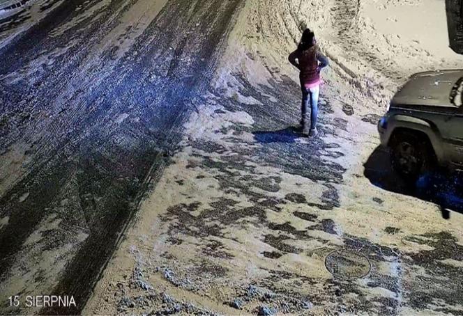 Sochaczew. Weszła na ulicę i zrobiła TO! SKANDALICZNE zachowanie 41-latki [ZDJĘCIA]