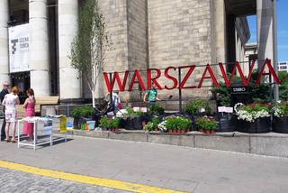 Upiększyli Warszawę na Placu Defilad. Mieszkańcy stolicy ozdobili kwiatami neon przed Teatrem Studio [WIDEO, AUDIO]