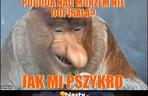 W tym roku pogoda jest bezlitosna dla turystów. No zobaczcie tylko te memy!