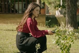 Wichrowe wzgórze odc. 244-248. Halil ogłasza ciążę Zeynep i idzie na wojnę z ukochaną