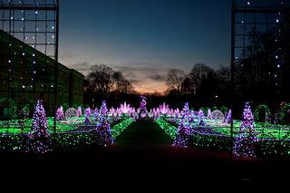 Laserowy show w Wilanowie