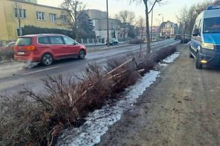 Wypadek w centrum Bydgoszczy. Kobieta trafiła do szpitala