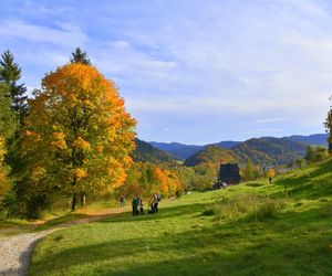 To najstarszy i najpiękniejszy park narodowy w Polsce. Warto odwiedzić go właśnie jesienią