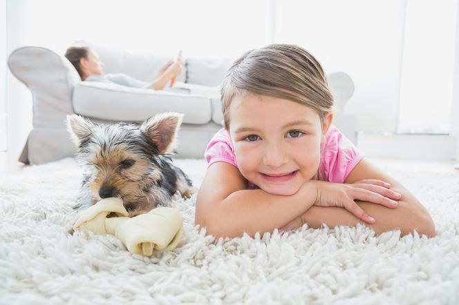 Najbrudniejsze miejsca w domu. Gdzie w domu jest najwięcej zarazków?