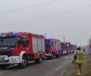 Kilkanaście wozów strażackich gasiło pożar miejscowości Kalinowy Dół 