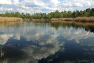 Mazowiecki Park Krajobrazowy