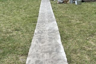 Niedzielna z lnem w Muzeum Wsi Lubelskiej. Trudno w to uwierzyć, że to taka niesamowita roślina