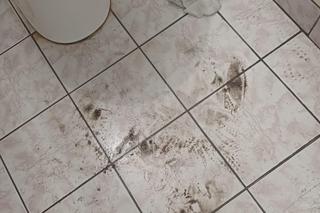 Skandal w szkolnej toalecie pod Gorzowem. Szkoła pokazała zdjęcia w sieci