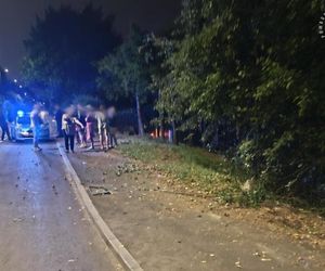18-letni Ukrainiec wjechał w drzewo. Wszystko przez telefon 