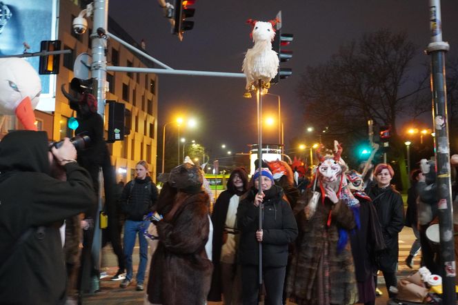 Podkoziołek 2025. Kolorowy pochód w Poznaniu