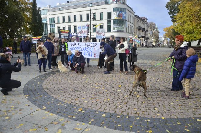 Wielki marsz adopciaków w Radomiu