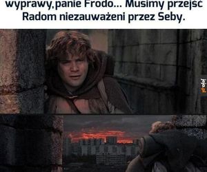 MEMY o Radomiu