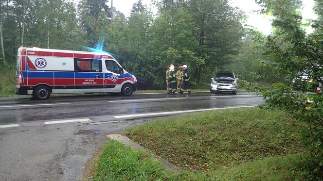 Lubienia. Zderzenie busa z osobówką. Kobieta w ciąży trafiła do szpitala