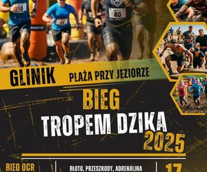 Bieg Tropem Dzika w Gliniku
