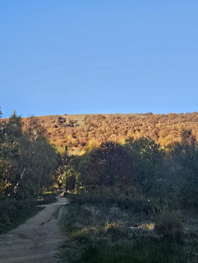 Bieszczady na jesień 