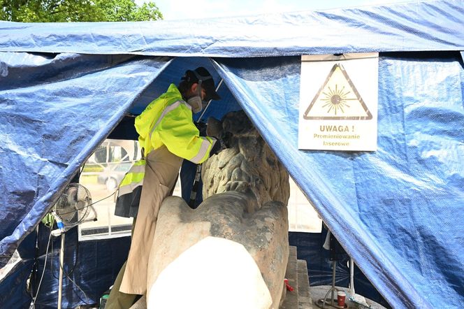 Renowacja koszalińskich lwów