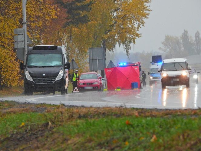 Zwłoki na drodze w Tarczynie. Policja szuka świadków